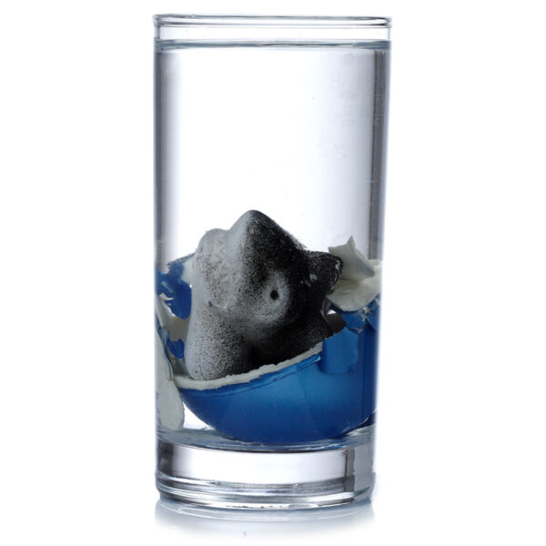 Shark Hatching Egg - Image 4