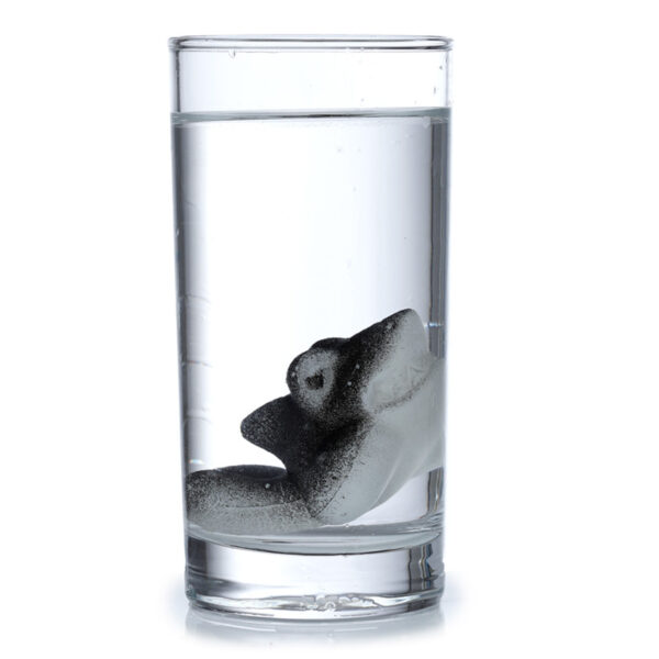 Shark Hatching Egg - Image 5