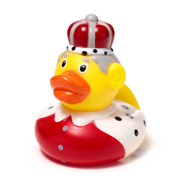 Bath Time Toy - King Duck - Image 8