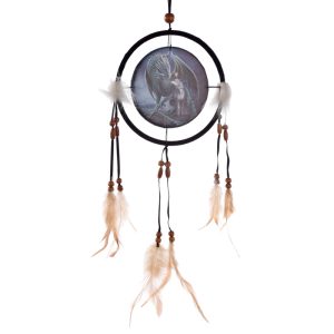 Dreamcatcher (Small) - Lisa Parker Protector of Magick Dragon