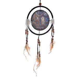 Dreamcatcher (Small) - Lisa Parker Fairy Tales Owl & Fairy