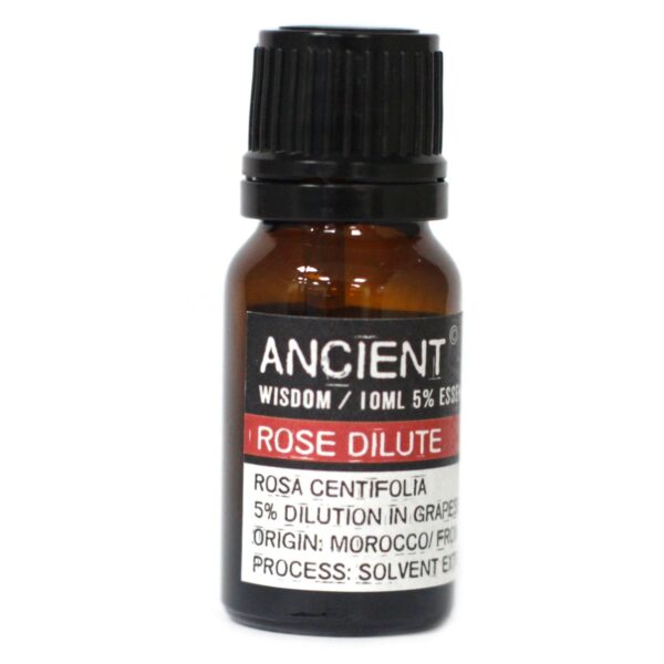 Diffuser Necklace and Essential Oils Set - Image 6