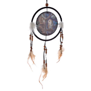 Dreamcatcher (Small) - Lisa Parker Fairy Tales Owl & Fairy