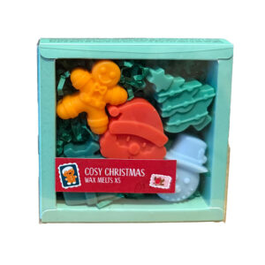 Handmade Wax Melt Set of 5 - Cosy Christmas Jingle Bunch