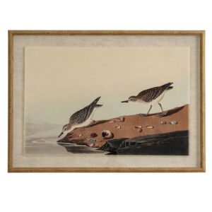 Flora & Fauna Collection Stints On Linen In Beaded Frame